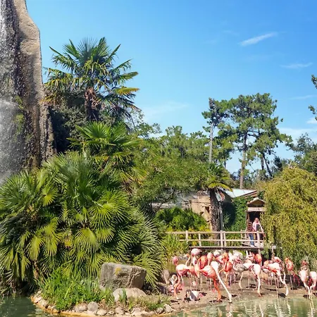 Feriehus 1 Bedroom Cozy In La-gripperie-saint-sym La-Gripperie-Saint-Symphorien